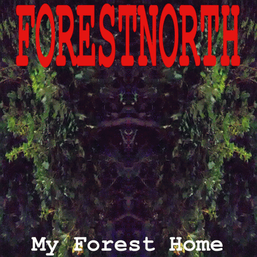 Forestnorth : My Forest Home